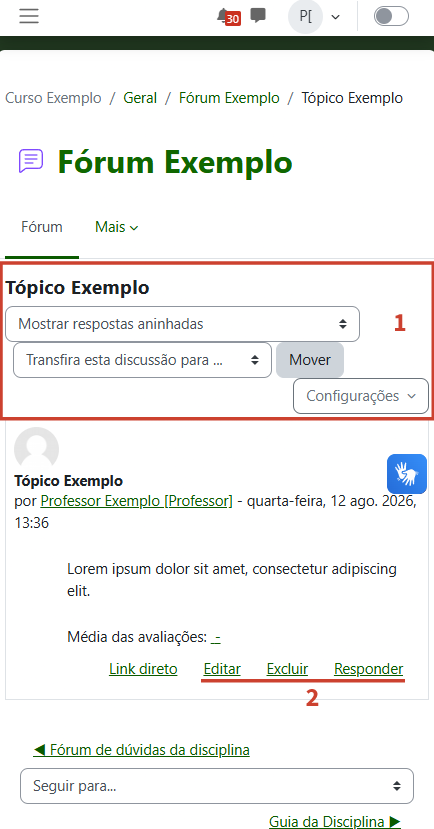 Tela mostrando as áreas de configuração do tópico na parte superior e as áreas de edição na parte inferior