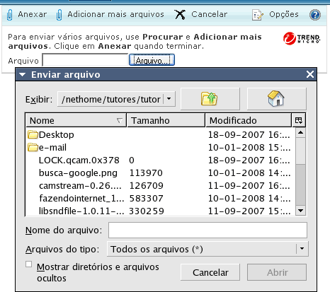 Webmail do Hotmail - Anexando um arquivo.